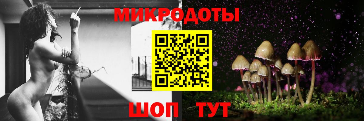 Сланцы  Псилоцибиновые грибы MAGIC MUSHROOMS  Вход с VPN 